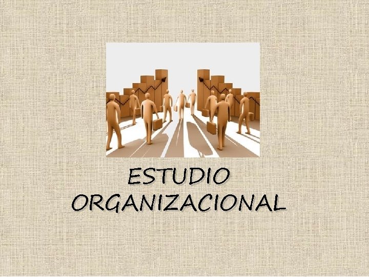 ESTUDIO ORGANIZACIONAL 