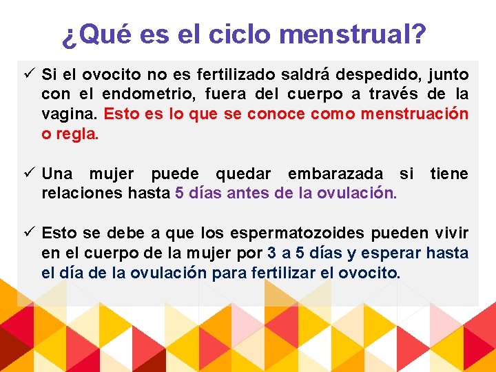 ¿Qué es el ciclo menstrual? ü Si el ovocito no es fertilizado saldrá despedido,