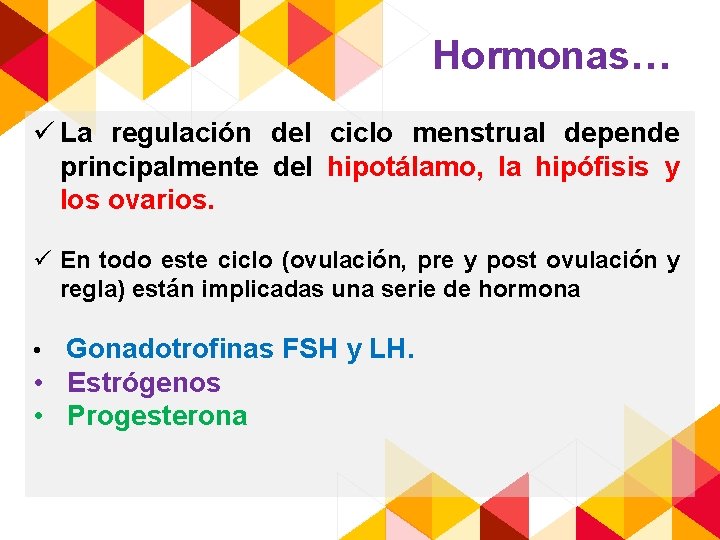 Hormonas… ü La regulación del ciclo menstrual depende principalmente del hipotálamo, la hipófisis y