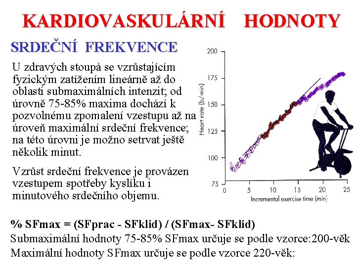 KARDIOVASKULÁRNÍ HODNOTY SRDEČNÍ FREKVENCE U zdravých stoupá se vzrůstajícím fyzickým zatížením lineárně až do