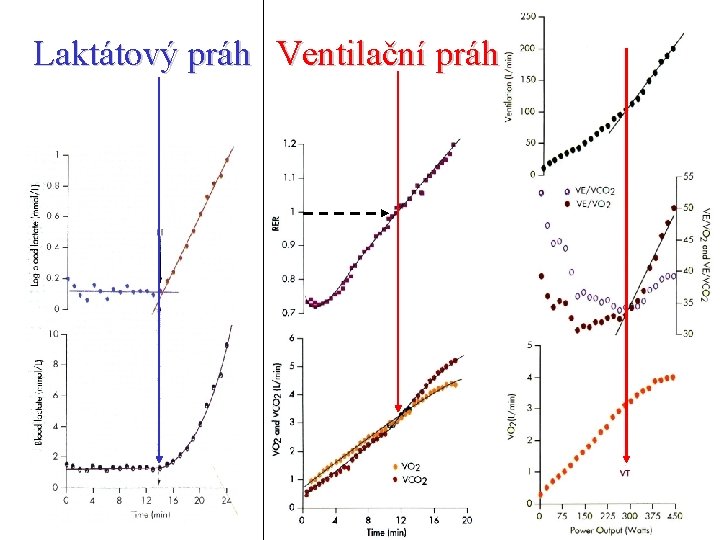 Laktátový práh Ventilační práh 