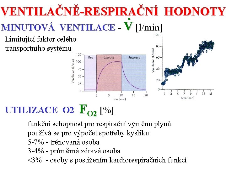 VENTILAČNĚ-RESPIRAČNÍ HODNOTY. MINUTOVÁ VENTILACE - V [l/min] Limitující faktor celého transportního systému UTILIZACE O