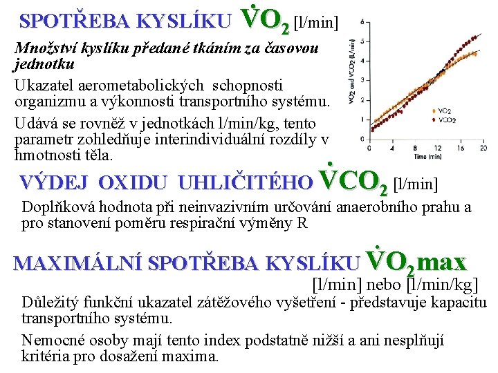 . SPOTŘEBA KYSLÍKU VO 2 [l/min] Množství kyslíku předané tkáním za časovou jednotku Ukazatel