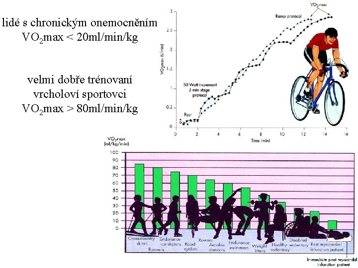 lidé s chronickým onemocněním VO 2 max < 20 ml/min/kg velmi dobře trénovaní vrcholoví