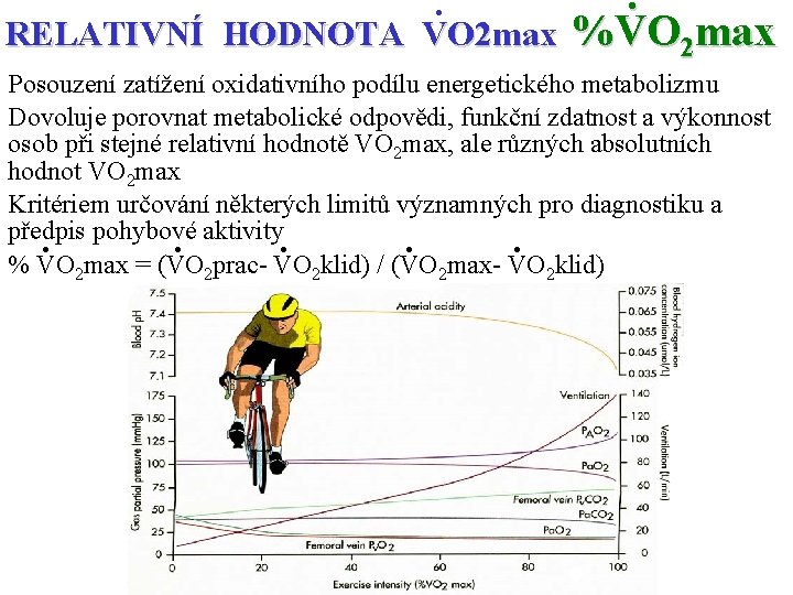 RELATIVNÍ HODNOTA . VO 2 max %VO 2 max. Posouzení zatížení oxidativního podílu energetického