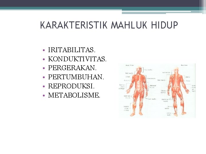 KARAKTERISTIK MAHLUK HIDUP • • • IRITABILITAS. KONDUKTIVITAS. PERGERAKAN. PERTUMBUHAN. REPRODUKSI. METABOLISME. 
