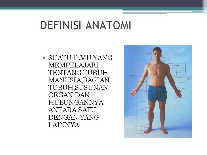 DEFINISI ANATOMI • SUATU ILMU YANG MEMPELAJARI TENTANG TUBUH MANUSIA, BAGIAN TUBUH, SUSUNAN ORGAN
