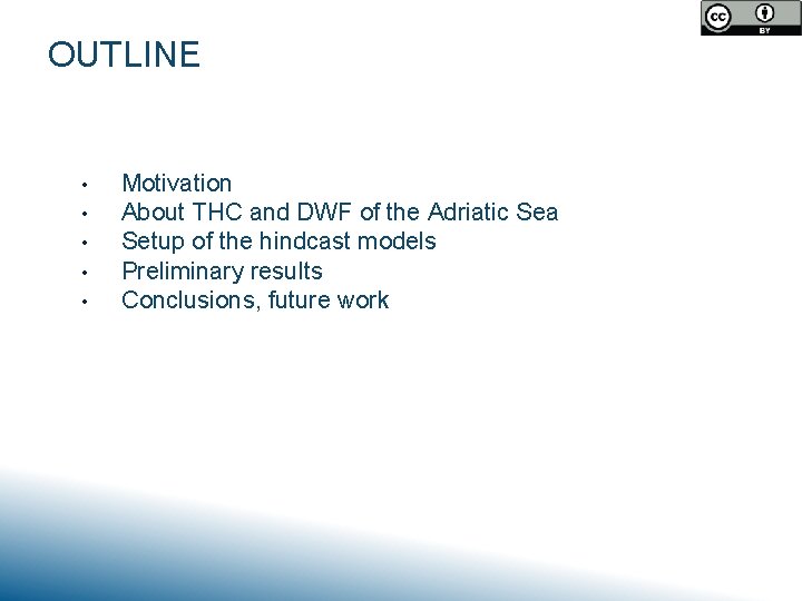 OUTLINE • • • Motivation About THC and DWF of the Adriatic Sea Setup