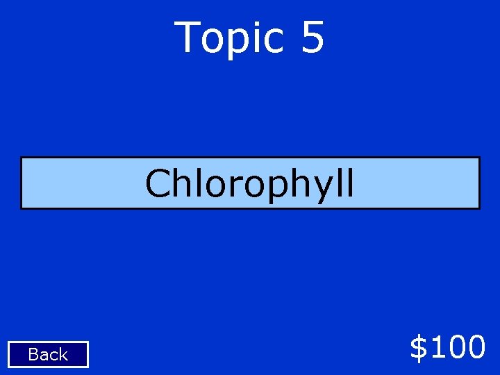 Topic 5 Chlorophyll Back $100 