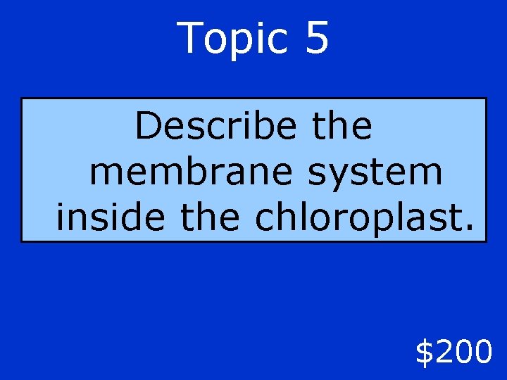 Topic 5 Describe the membrane system inside the chloroplast. $200 