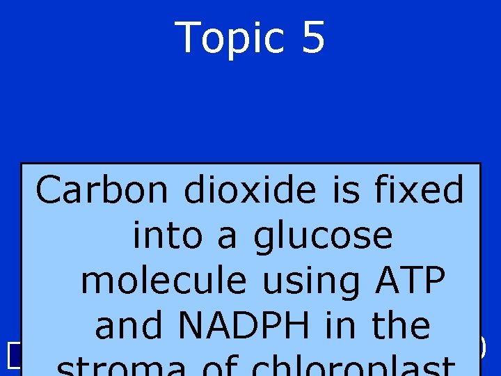 Topic 5 Carbon dioxide is fixed into a glucose molecule using ATP and NADPH