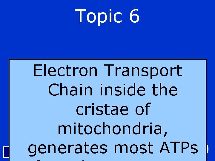 Topic 6 Electron Transport Chain inside the cristae of mitochondria, $400 Backgenerates most ATPs