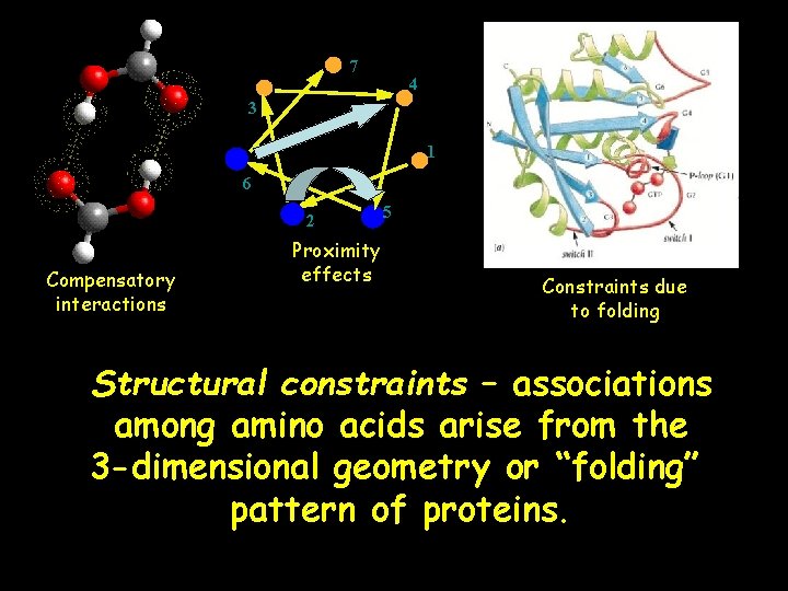 7 4 3 1 6 2 Compensatory interactions Proximity effects 5 Constraints due to