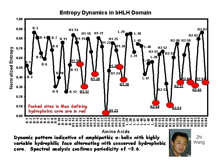Entropy Dynamics in b. HLH Domain 1. 00 B-3 0. 90 B-4 0. 80