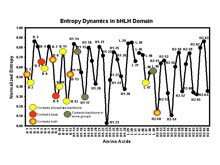 Entropy Dynamics in b. HLH Domain 1. 00 B-3 0. 90 B-4 0. 80