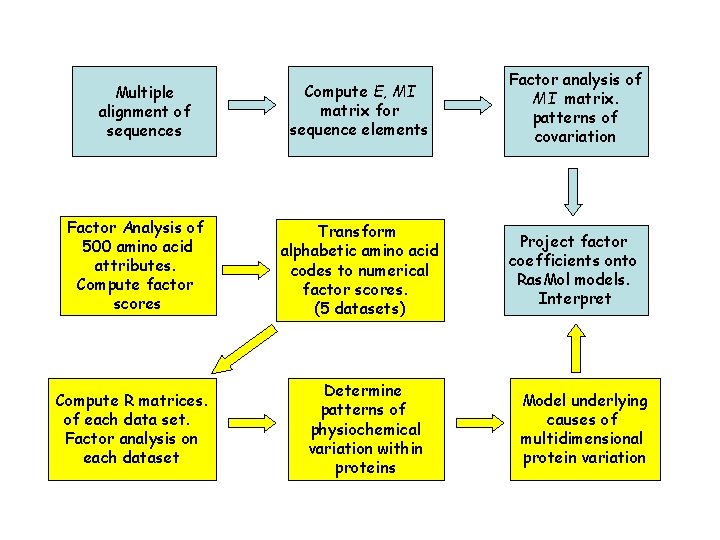 Flow of Statistical Analyses Multiple alignment of sequences Factor Analysis of 500 amino acid