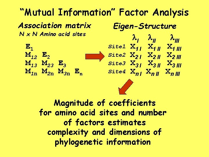 “Mutual Information” Factor Analysis Association matrix N Amino acid sites E 1 M 12