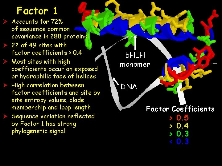 Factor 1 Ø Accounts for 72% of sequence common covariance in 288 proteins Ø