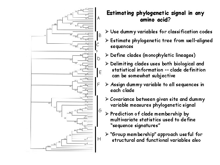 A B C ? D Estimating phylogenetic signal in any amino acid? Ø Use