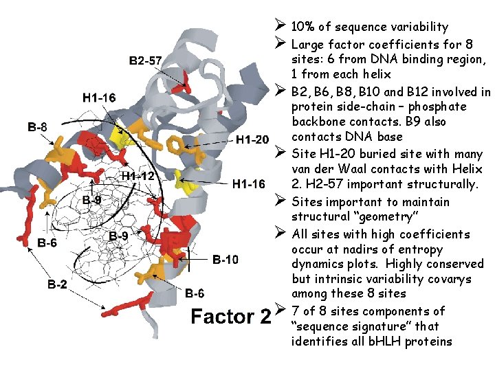 Ø 10% of sequence variability Ø Large factor coefficients for 8 Ø Ø Ø