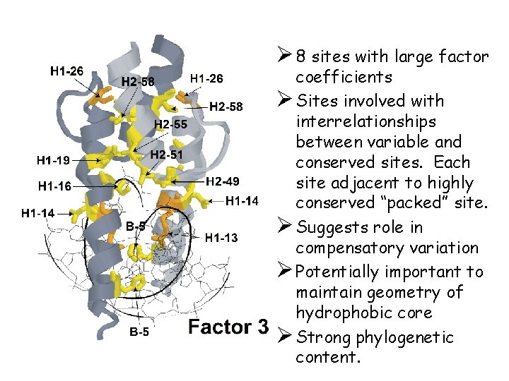 Ø 8 sites with large factor coefficients Ø Sites involved with interrelationships between variable