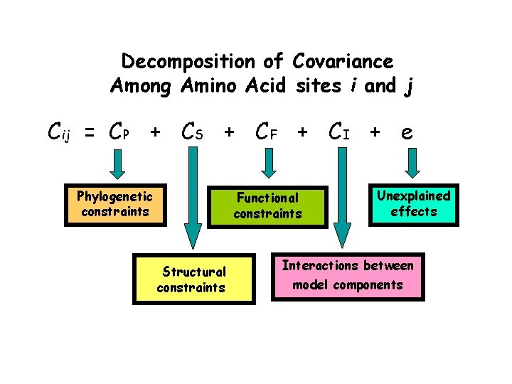 Decomposition of Covariance Among Amino Acid sites i and j Cij = CP +