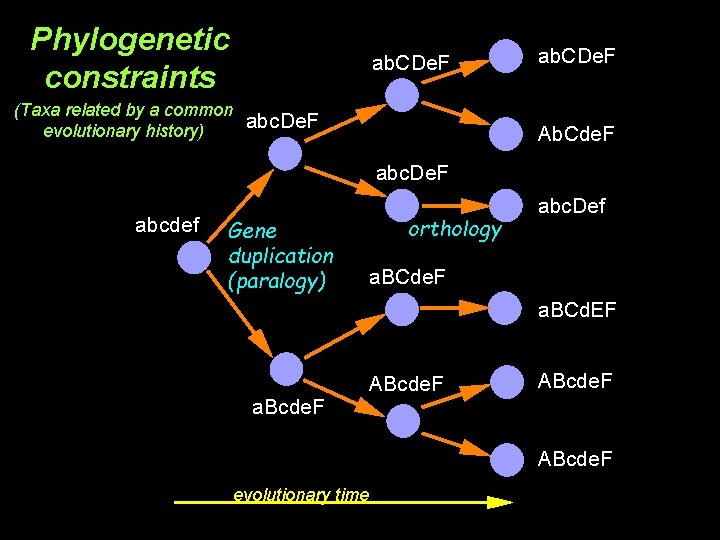 Phylogenetic constraints ab. CDe. F (Taxa related by a common abc. De. F evolutionary