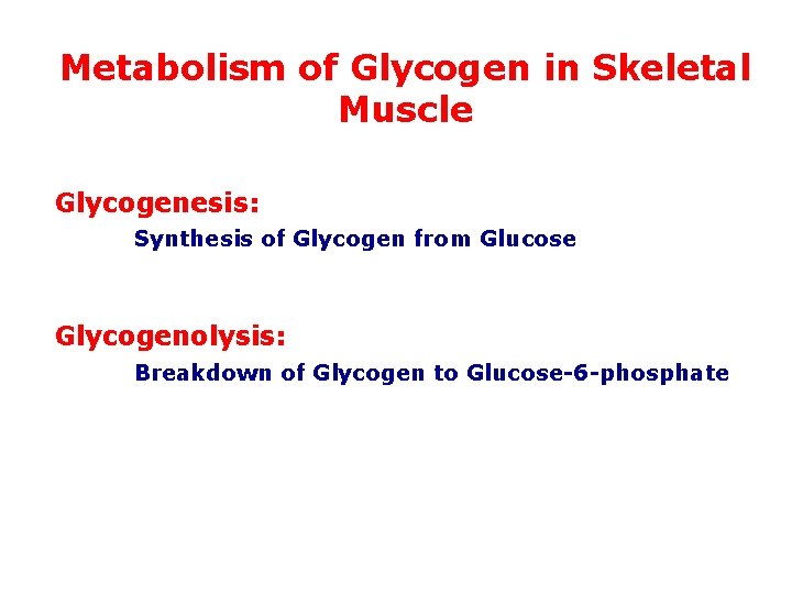 Metabolism of Glycogen in Skeletal Muscle Glycogenesis: Synthesis of Glycogen from Glucose Glycogenolysis: Breakdown