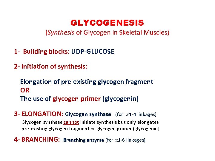GLYCOGENESIS (Synthesis of Glycogen in Skeletal Muscles) 1 - Building blocks: UDP-GLUCOSE 2 -