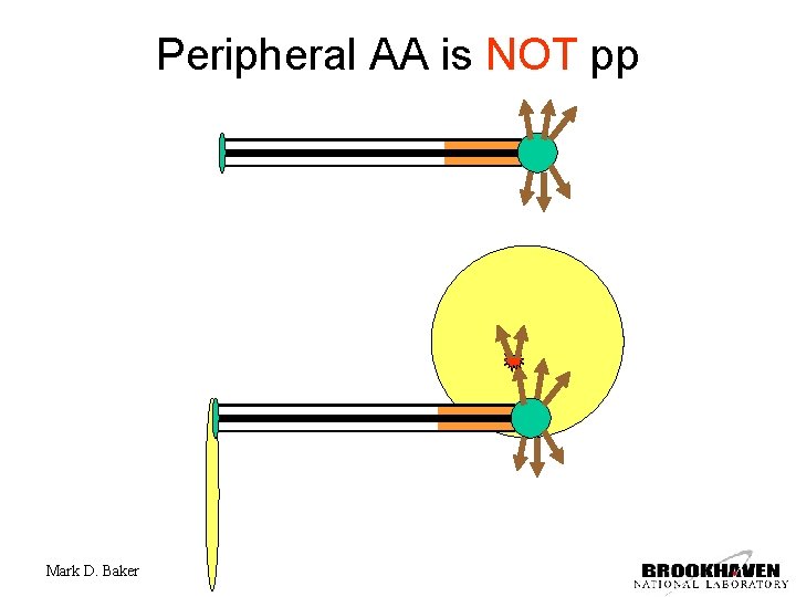 Peripheral AA is NOT pp Mark D. Baker 