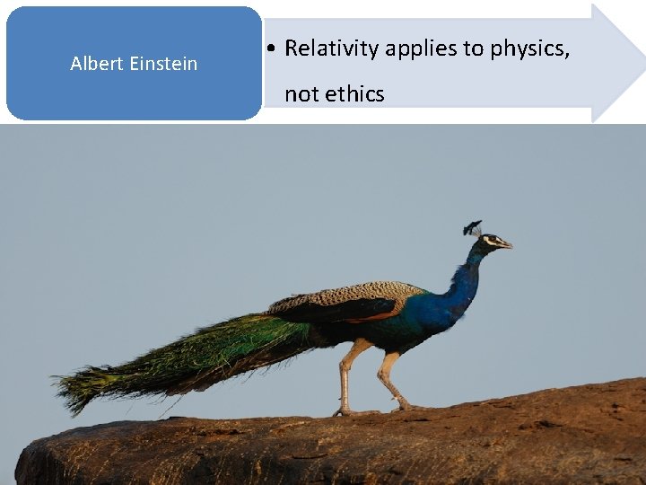 Albert Einstein • Relativity applies to physics, not ethics 