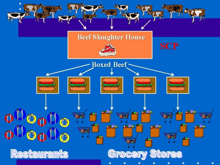 Beef Slaughter House Boxed Beef SCP 