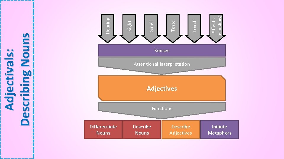 (emotions) Affects Touch Taste Smell Sight Hearing Adjectivals: Describing Nouns Senses Attentional Interpretation Adjectives