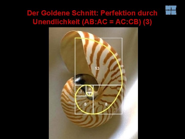 Der Goldene Schnitt: Perfektion durch Unendlichkeit (AB: AC = AC: CB) (3) 
