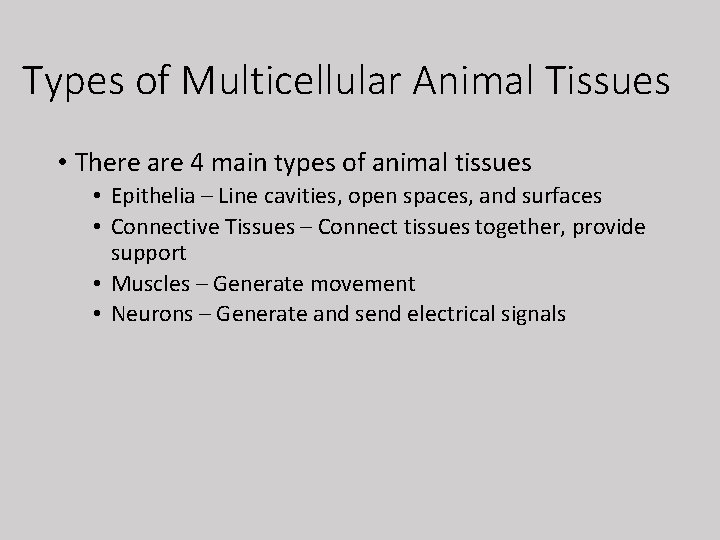 Types of Multicellular Animal Tissues • There are 4 main types of animal tissues
