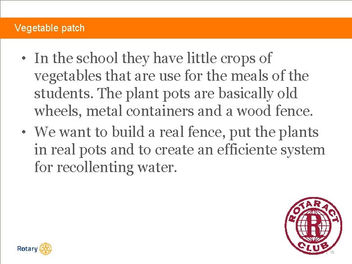 Vegetable patch • In the school they have little crops of vegetables that are