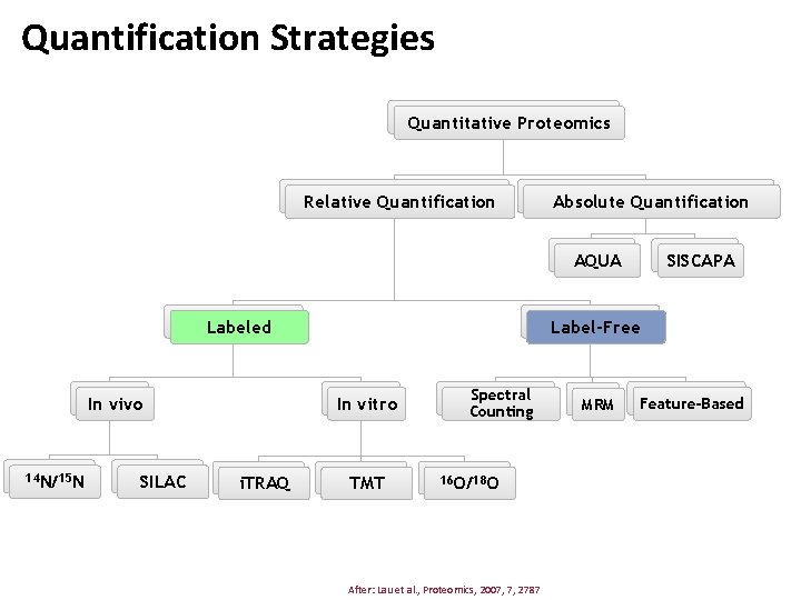 Quantification Strategies Quantitative Proteomics Relative Quantification Absolute Quantification SISCAPA AQUA Labeled In vivo 14