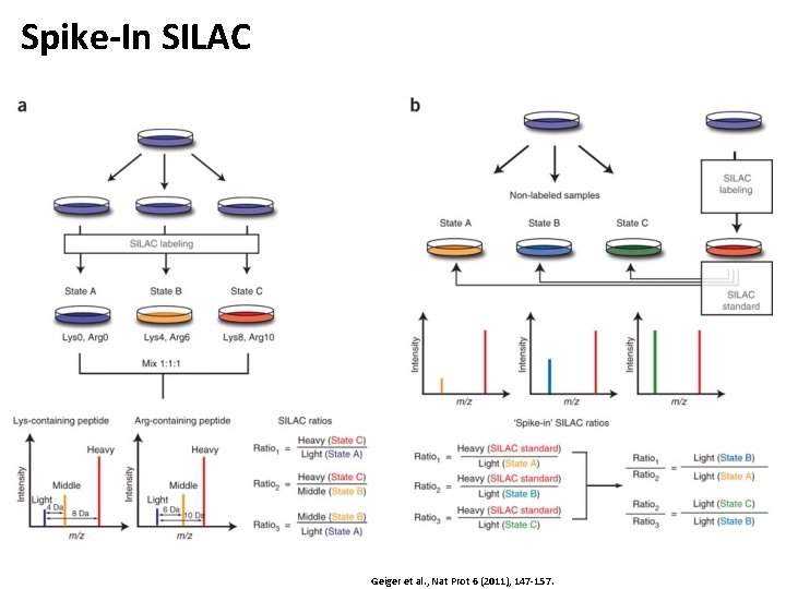 Spike-In SILAC Geiger et al. , Nat Prot 6 (2011), 147 -157. 