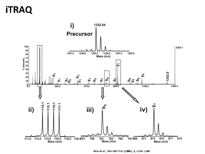 i. TRAQ Ross et al. , Mol Cell Prot (2004), 3, 1154 -1169. 