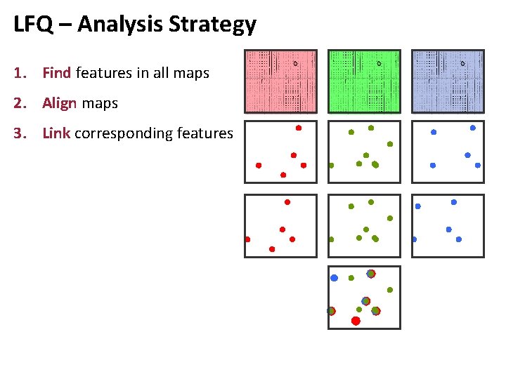 LFQ – Analysis Strategy 1. Find features in all maps 2. Align maps 3.
