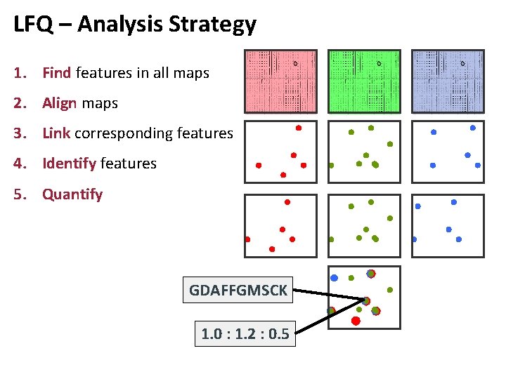 LFQ – Analysis Strategy 1. Find features in all maps 2. Align maps 3.