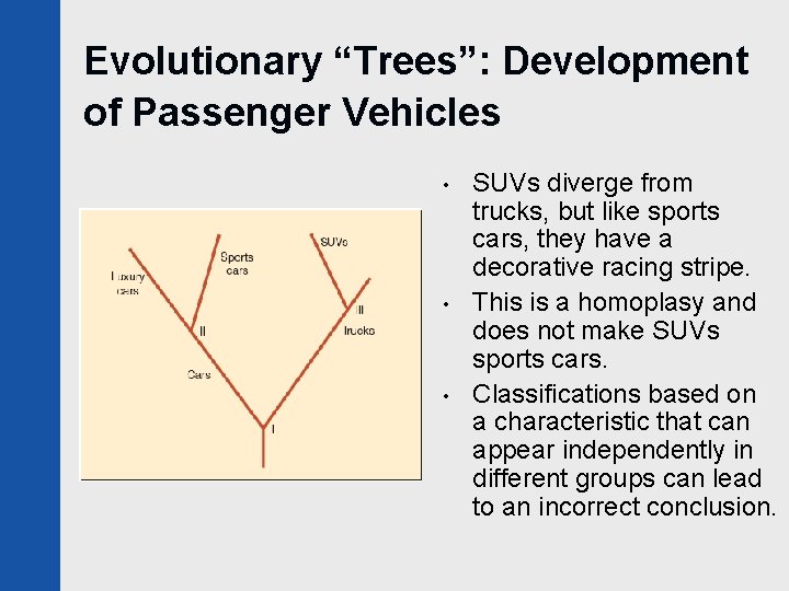 Evolutionary “Trees”: Development of Passenger Vehicles • • • SUVs diverge from trucks, but