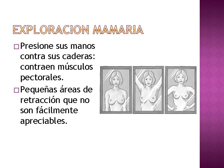 � Presione sus manos contra sus caderas: contraen músculos pectorales. � Pequeñas áreas de