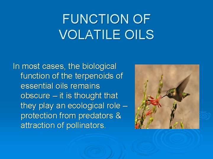 FUNCTION OF VOLATILE OILS In most cases, the biological function of the terpenoids of