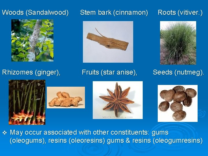 Woods (Sandalwood) Stem bark (cinnamon) Rhizomes (ginger), Fruits (star anise), v Roots (vitiver. )