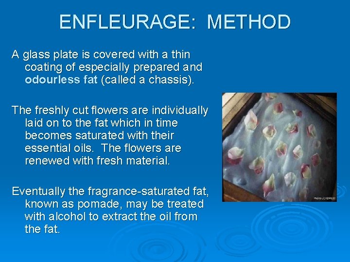ENFLEURAGE: METHOD A glass plate is covered with a thin coating of especially prepared