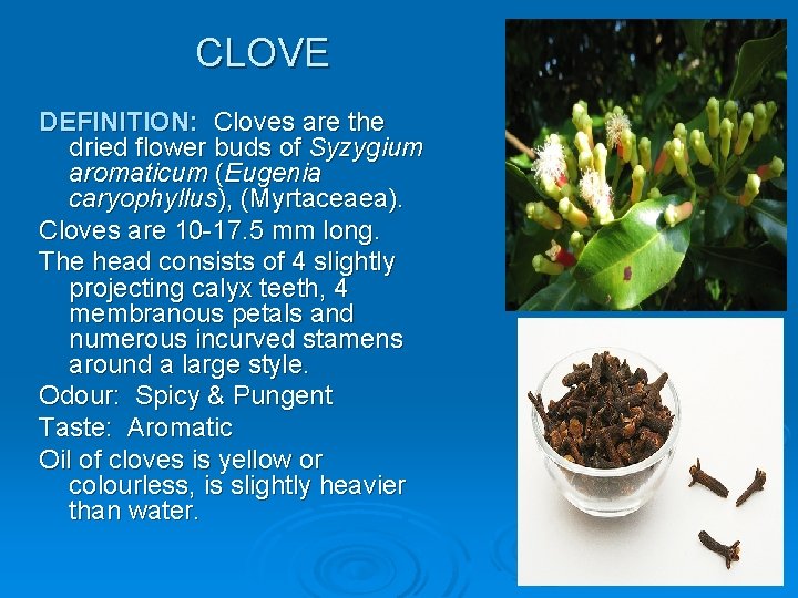 CLOVE DEFINITION: Cloves are the dried flower buds of Syzygium aromaticum (Eugenia caryophyllus), (Myrtaceaea).