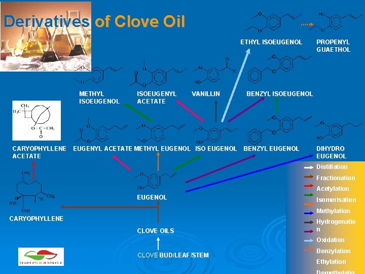 Derivatives of Clove Oil ETHYL ISOEUGENOL METHYL ISOEUGENOL ISOEUGENYL ACETATE VANILLIN PROPENYL GUAETHOL BENZYL