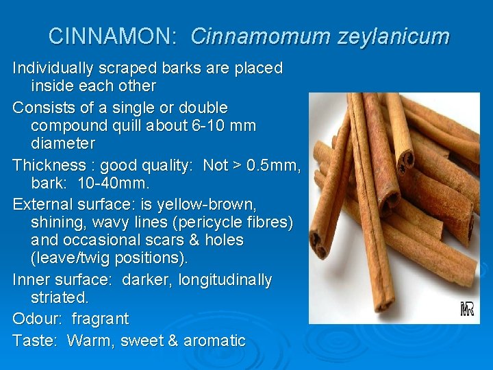 CINNAMON: Cinnamomum zeylanicum Individually scraped barks are placed inside each other Consists of a