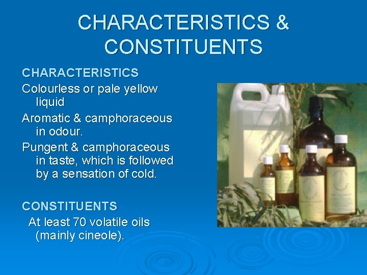 CHARACTERISTICS & CONSTITUENTS CHARACTERISTICS Colourless or pale yellow liquid Aromatic & camphoraceous in odour.